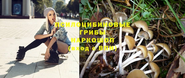 каннабис Осташков