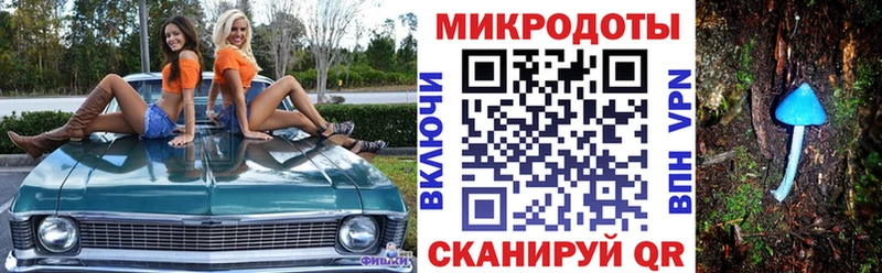 Галлюциногенные грибы Psilocybe Костомукша